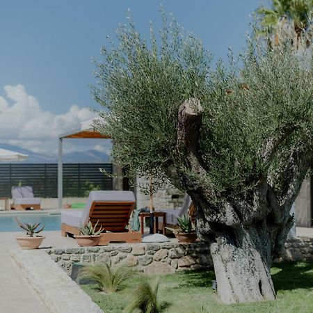 Niama Luxury Apartments نافبليو المظهر الخارجي الصورة